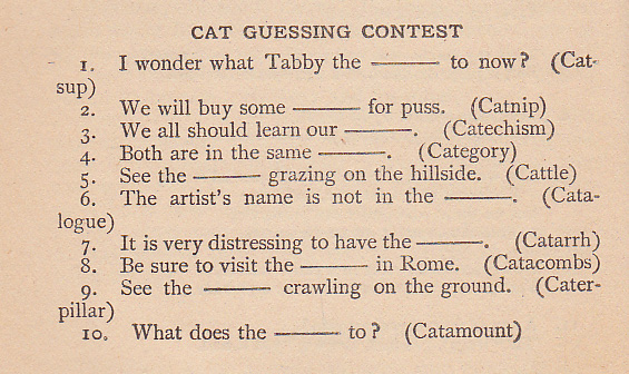 1905 cat contest word game